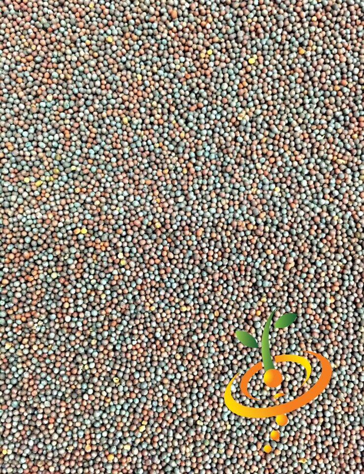 Mustard - Old Fashion.