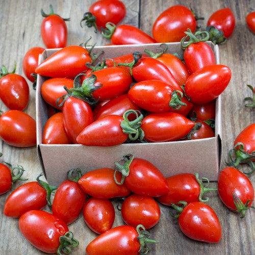 Tomato - San Marzano Seeds Fresh ripe red San Marzano tomatoes in a small cardboard box on wooden surface