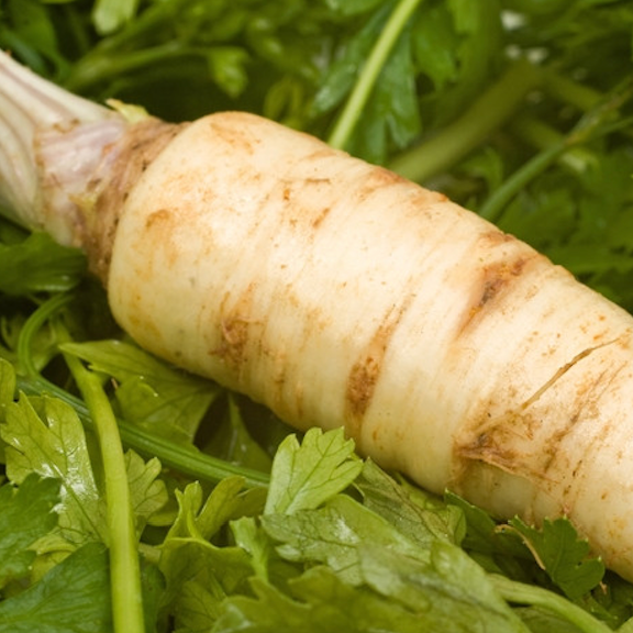 Snow White carrot seeds by SeedsNow, 7-inch long carrot variety, fresh seeds displayed on a white background.