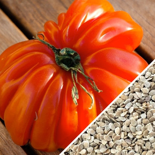 Close-up of a ripe Ponderosa Red Beefsteak tomato and a pile of tomato seeds on wooden surface