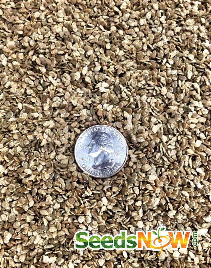Cherokee Purple indeterminate tomato seeds from SeedsNow, showcasing small seeds in a natural seed packet.