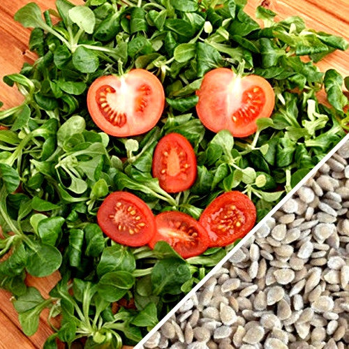 Cherry tomato slices arranged on leafy greens with a close-up of cherry tomato seeds