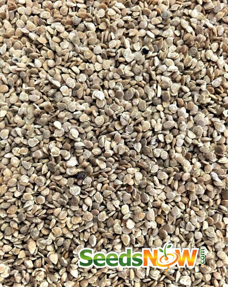 Heirloom Mr. Stripey indeterminate tomato seeds from SeedsNow, showing vibrant striped tomato seed packets.