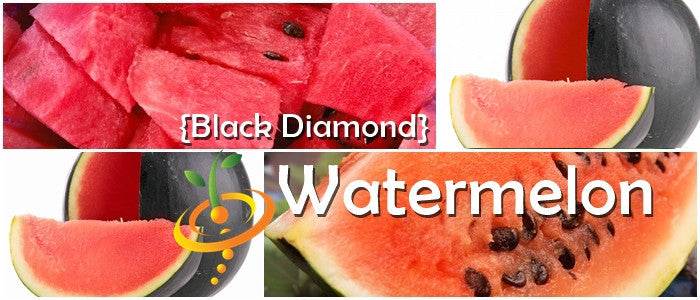 Close-up images of Watermelon Black Diamond showing dark green rind, bright red flesh, and seeds