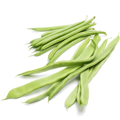 White Emergo runner bean seeds from SeedsNow, showing fresh white seeds ideal for planting and garden cultivation.