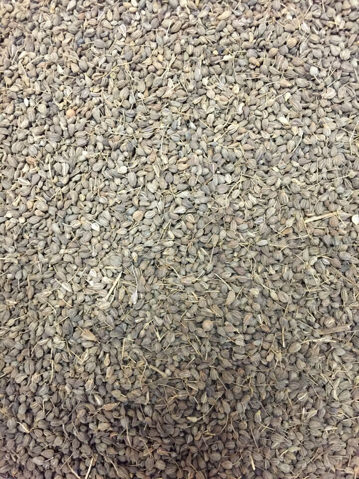 A close-up of fresh Anise (Aniseed) seeds from SeedsNow, showing small, oval, brown seeds with a slightly ridged surface.