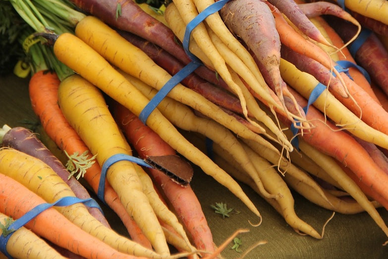 Colorful Heritage Rainbow Blend carrot seeds from SeedsNow, showcasing vibrant orange, purple, and yellow carrots.