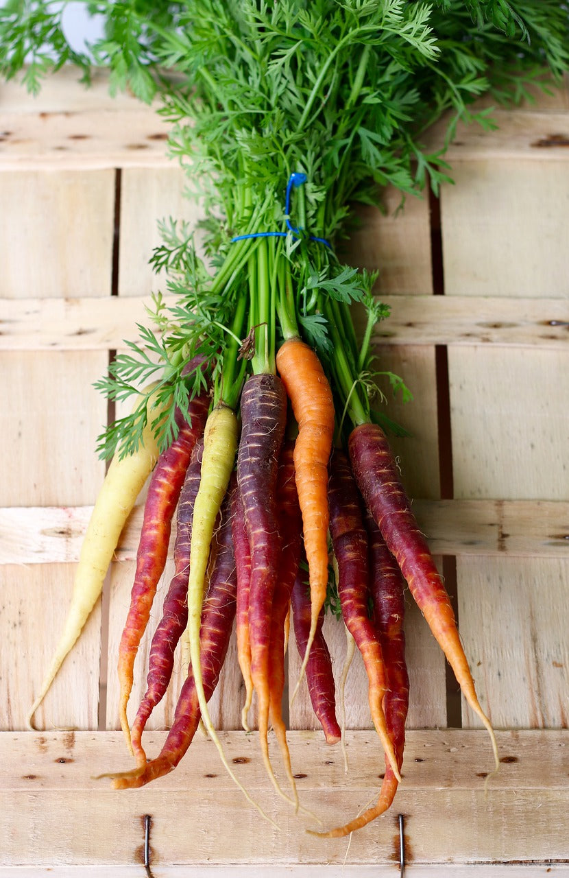 Colorful Heritage Rainbow Blend carrot seeds from SeedsNow, showcasing vibrant, multi-colored carrots ready for planting.