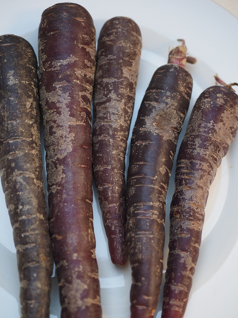 Cosmic Purple carrot seeds from SeedsNow, 7 inches long, showcasing vibrant purple carrots with leafy green tops.