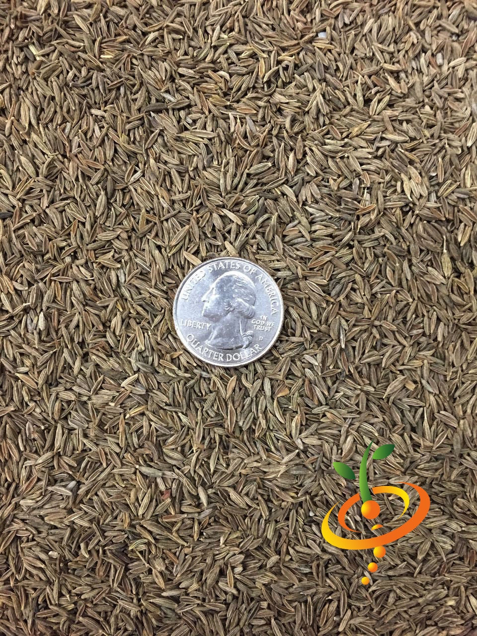 Close-up of SeedsNow classic cumin seeds showing small, brown, oval-shaped spice seeds on a neutral background.
