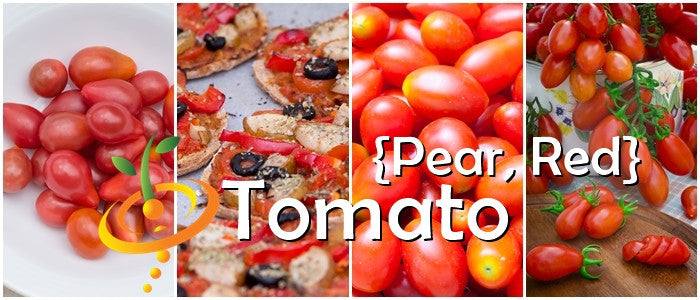 Red Pear Tomato Seeds | Red Pear Tomato small sweet pear-shaped red tomatoes on vine and on plate with roasted tomato dishes