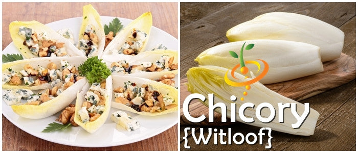 Fresh chicory witloof leaves on wooden table and stuffed witloof chicory salad on white plate