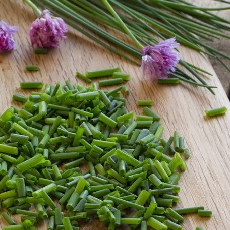 Close-up of chive seeds from SeedsNow, showing small, dark seeds suitable for planting chives in gardens or containers.