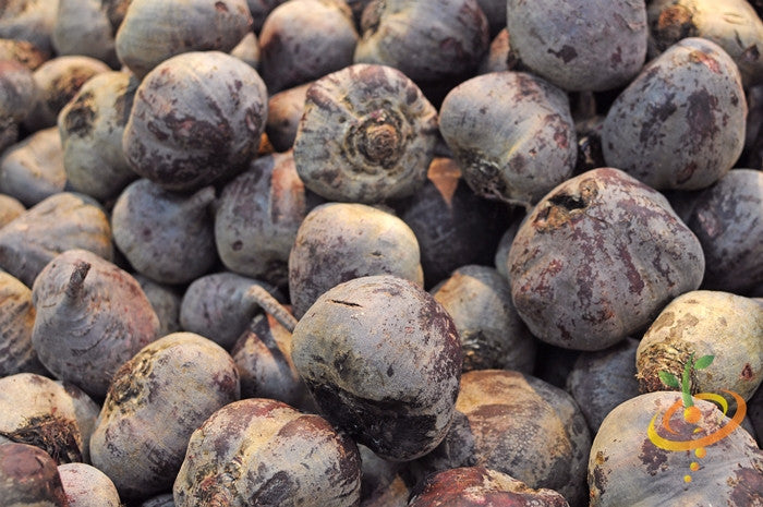 Purple Plum radish seeds from SeedsNow, showing vibrant purple radish bulbs and green leafy tops in a garden setting.