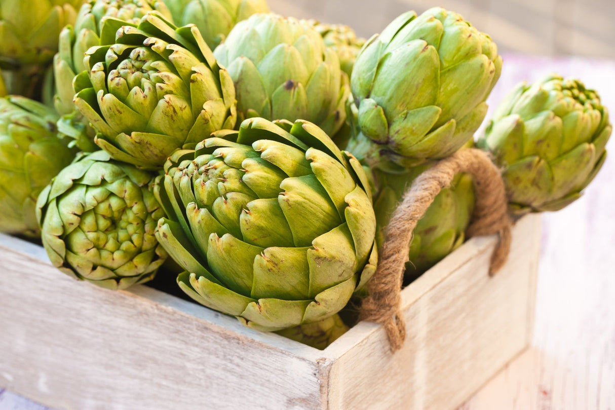 Green Globe artichoke seeds from SeedsNow, showing fresh seed packets with detailed label and vibrant green seed imagery.