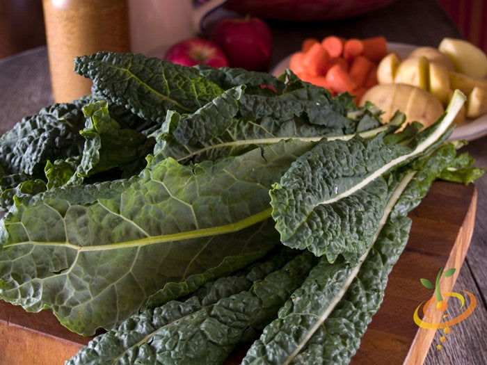 Lacinato kale seeds from SeedsNow, also called Dinosaur kale, showing green elongated leaves with ruffled edges.