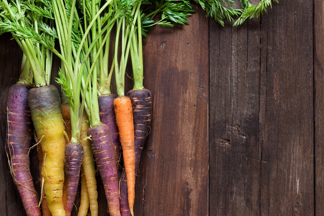 Colorful Heritage Rainbow Blend carrot seeds from SeedsNow, showcasing vibrant orange, purple, and yellow heirloom carrot varieties.