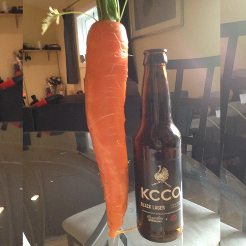 Fresh St. Valery James Scarlet carrot seedling from SeedsNow, showcasing vibrant orange carrots 12 inches long.