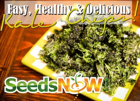 How to Make the Best Kale Chips Recipe | Healthy Snack Ideas for All