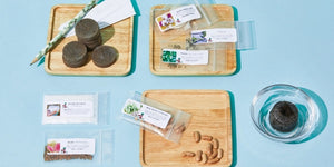 Seed & Garden Club - BASIC PLAN! (Plus free shipping)