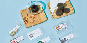 Seed & Garden Club - BASIC PLAN! (Plus free shipping)