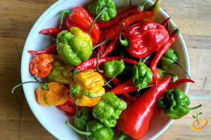 *NEW!* SUPER HOT PEPPERS! 🥵🔥🌶️ Garden Variety Pack