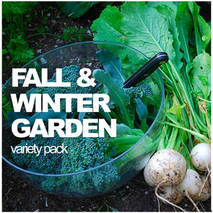 Fall and Winter Variety Pack | A Seed Collection for Cold Season | All-in-One Fall and Winter Seed Variety Pack by SeedsNow-SeedBanks, showcasing a diverse selection of seed packets for seasonal planting.