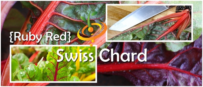 Swiss Chard - Ruby Red.