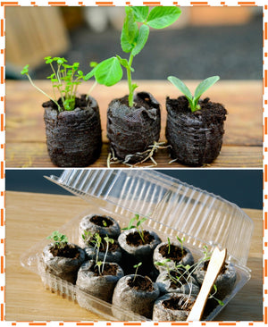 Mini Seed Starting Pods - SeedsNow.com